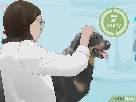 Выбор между сукой и кобелем Шаг 6