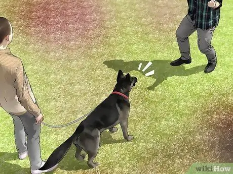 Выбор между сукой и кобелем Шаг 8