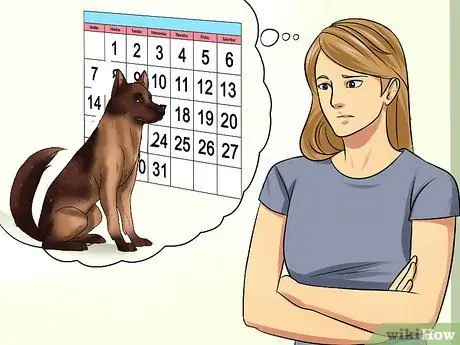 Усыновить полицейскую собаку на пенсии, шаг 2