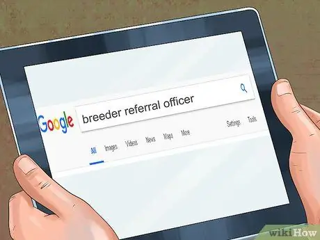 Найдите щенка AKC Шаг 9