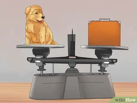 Выберите щенка Шаг 3