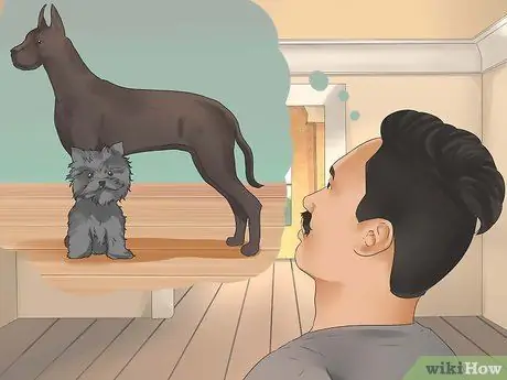 Выберите щенка Шаг 6