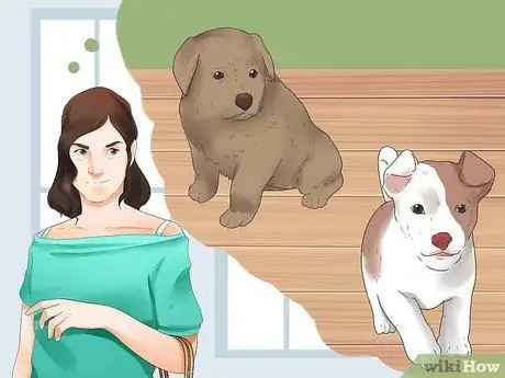 Выберите щенка Шаг 8