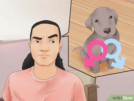 Выберите щенка Шаг 9