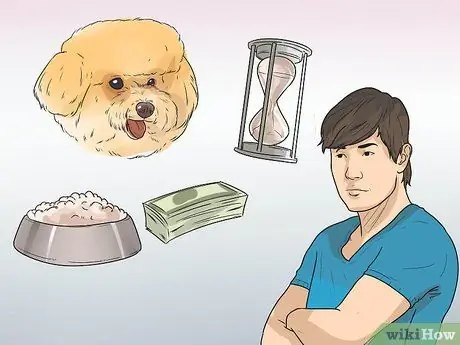 Узнайте, подходит ли вам порода бишон-фризе Шаг 1