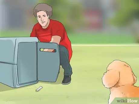 Узнайте, подходит ли вам порода бишон-фризе Шаг 12