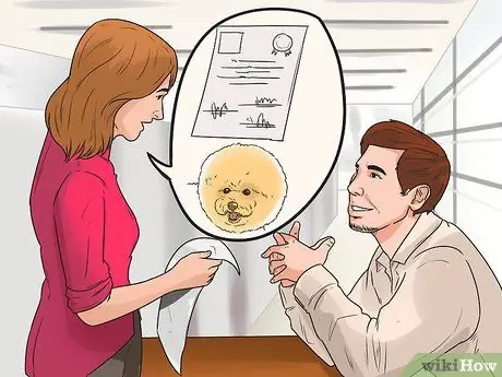 Узнайте, подходит ли вам порода бишон-фризе Шаг 7