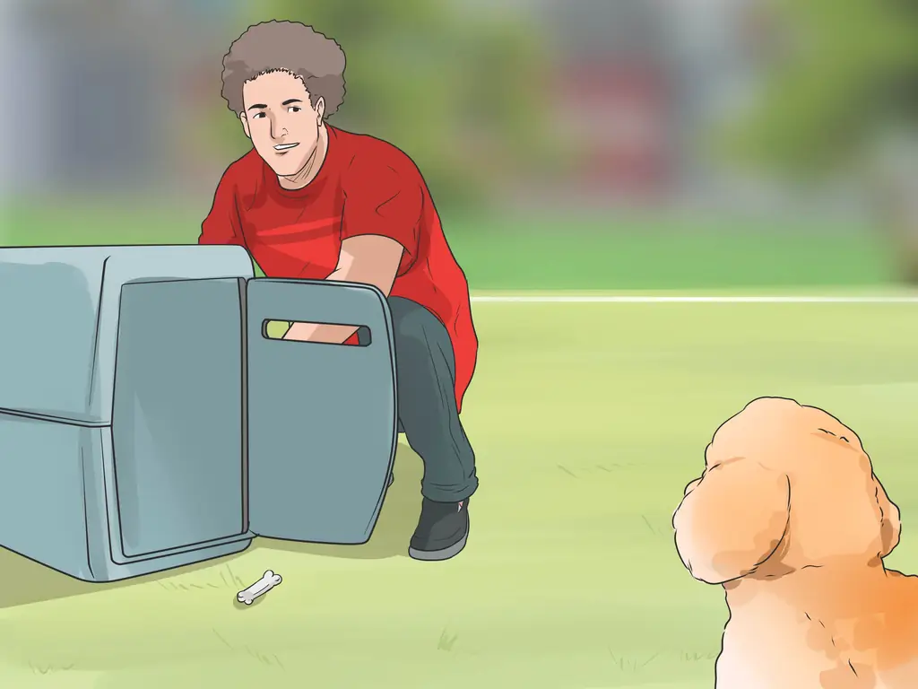 Как узнать, подходит ли вам порода бишон-фризе