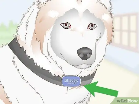 Собачьи жетоны Silence Step 1