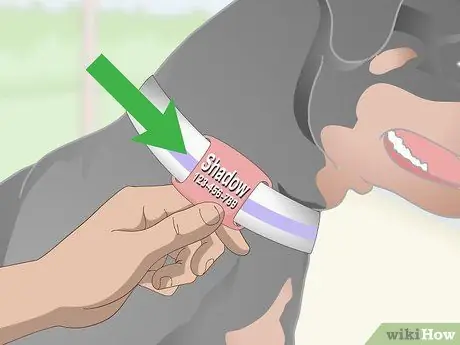 Собачьи жетоны Silence Step 2