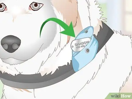 Собачьи жетоны Silence Step 7