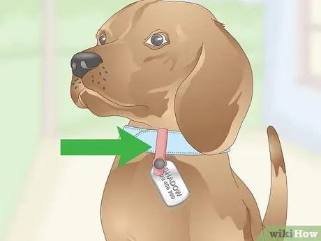 Жетоны Silence Dog Step 8