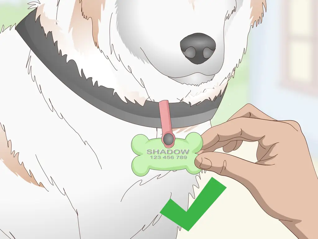 3 способа замолчать собачьи жетоны