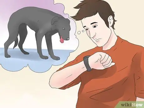 Симптомы точечного припадка у собак Шаг 6