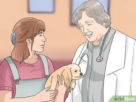 Избавиться от собачьей перхоти, шаг 12