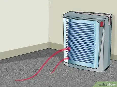 Избавьтесь от собачьей перхоти, шаг 5