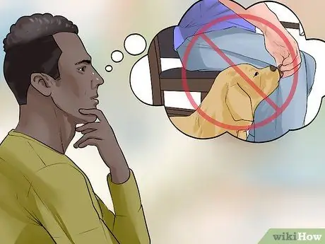 Найдите родственника, чтобы прекратить кормить собаку столовый корм Шаг 5