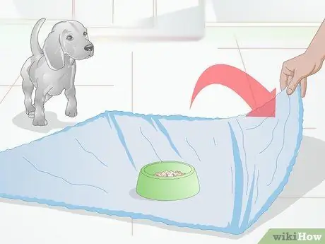 Сделайте кормление комфортным для собак с артритом Шаг 3