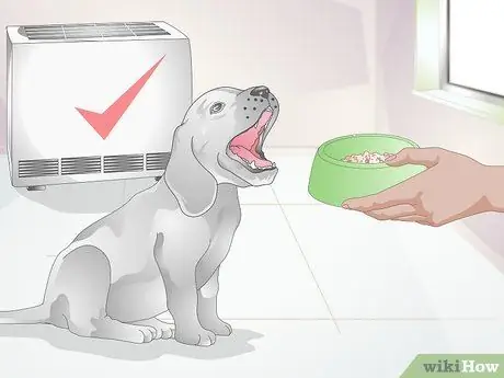 Сделайте кормление комфортным для собак с артритом Шаг 4