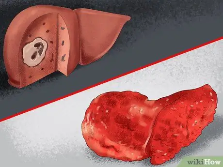 Диагностика болезни печени у пожилых собак Шаг 9