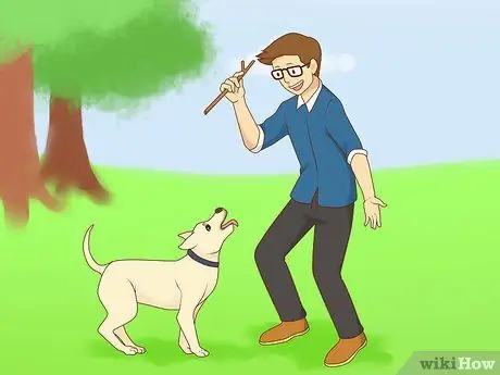 Лечить депрессию у собак Шаг 1