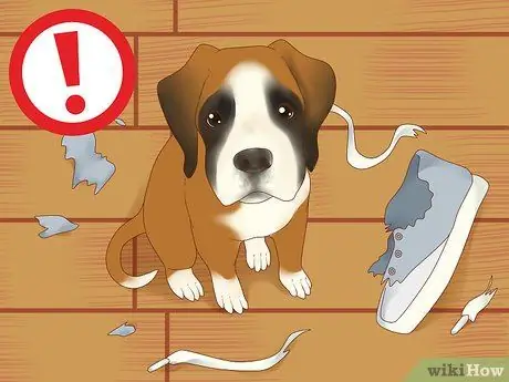 Лечить депрессию у собак Шаг 10