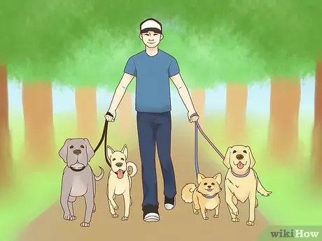 Лечить депрессию у собак Шаг 3