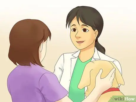 Лечить депрессию у собак Шаг 5