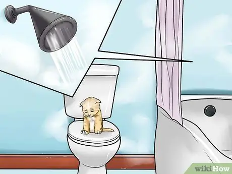 Выявление URI котенка или пневмонии Шаг 8