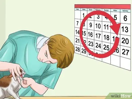 Выявление URI котенка или пневмонии Шаг 9