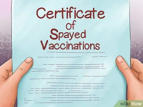 Купить хорька Step 15