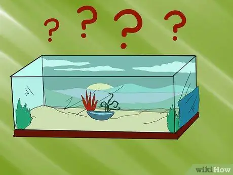 Установка простого рефугиума в резервуаре Шаг 2