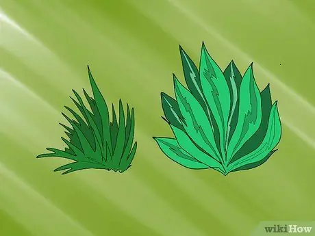 Установка простого рефугиума в резервуаре Шаг 6