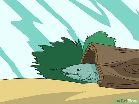 Установка простого рефугиума в резервуаре Шаг 7