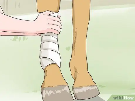 Поло с запахом Step 7