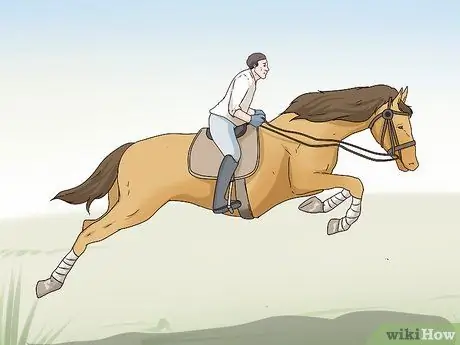 Поло с запахом Step 8