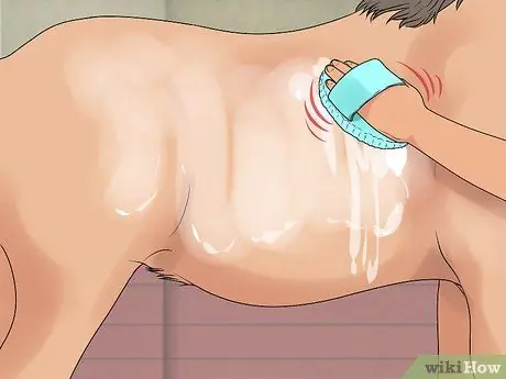 Добейтесь успеха на своем первом конном шоу Шаг 10