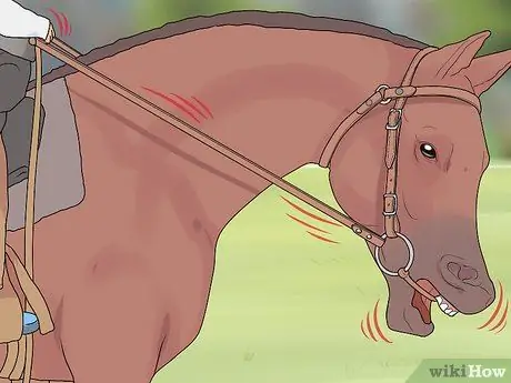 Добейтесь успеха на своем первом конном шоу Шаг 4