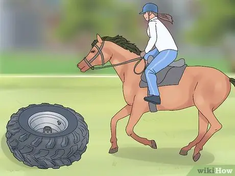 Добейтесь успеха на своем первом конном шоу Шаг 8