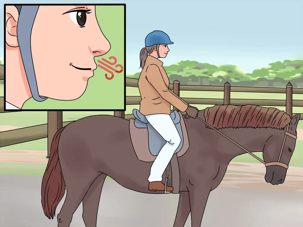 3 способа добиться успеха на первой конной выставке