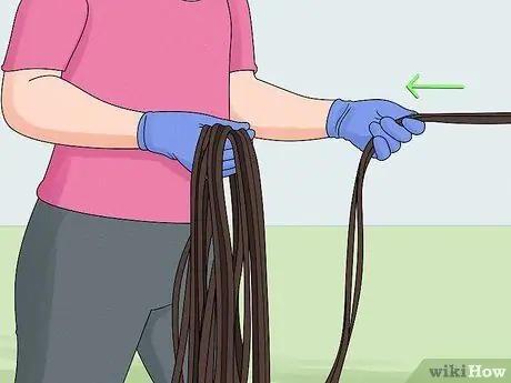 Выпад лошади Шаг 11