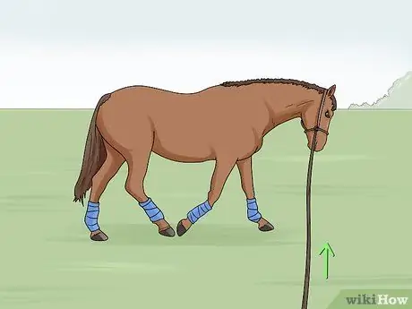 Выпад лошади Шаг 16