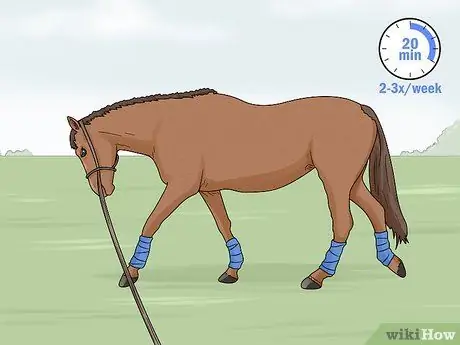 Выпад лошади Шаг 18