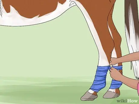 Выпад на лошади, шаг 2