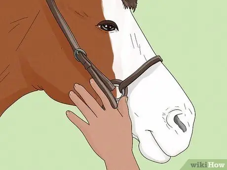 Сделать выпад на лошади, шаг 3