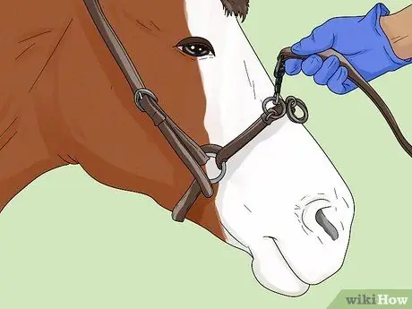 Выпад лошади Шаг 4