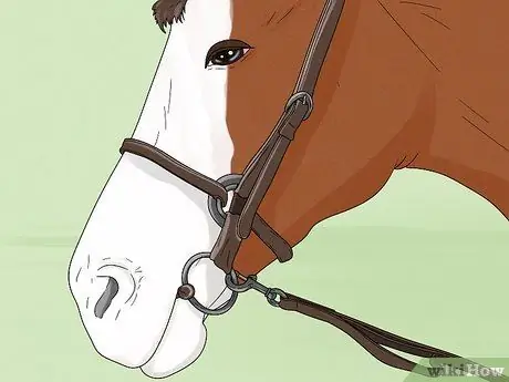 Выпад на лошади Шаг 5