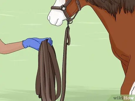 Выпад лошади Шаг 6