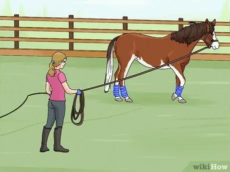 Выпад лошади Шаг 7