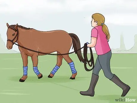 Выпад лошади Шаг 9